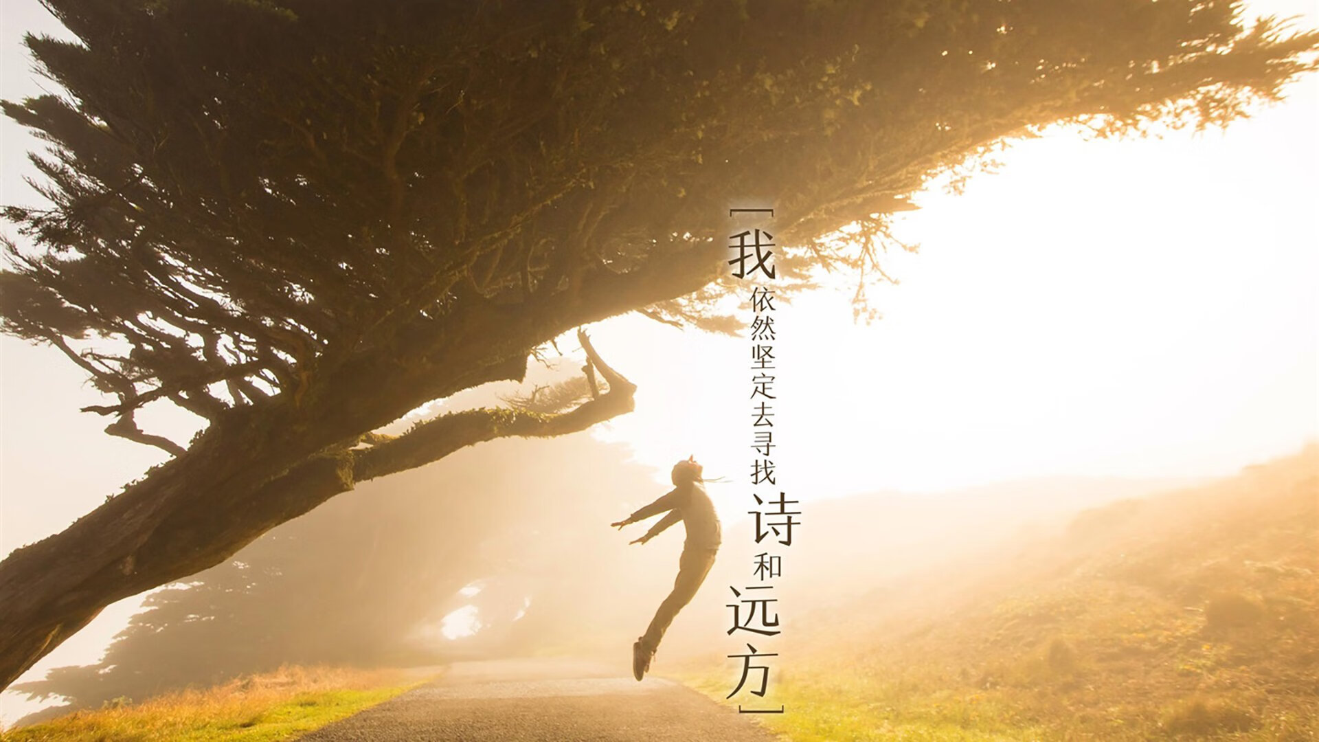 开云-唯一横扫骑士的球队！吉林用20分钟杀死悬念，文班亚马已成无解杀器