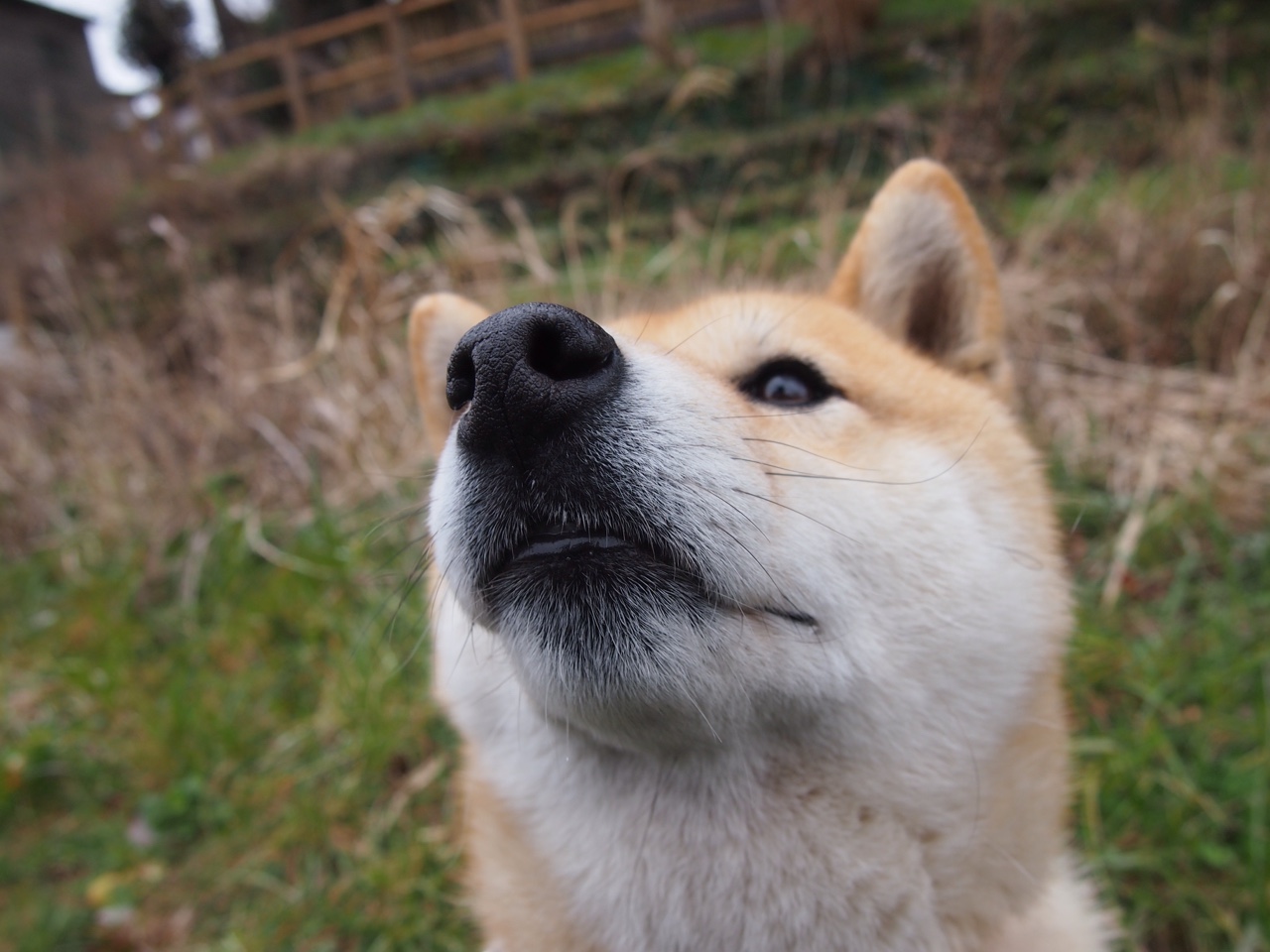 时空裂缝中的跨界王炸，当塔图姆在爵士太阳之战中全程高能输出