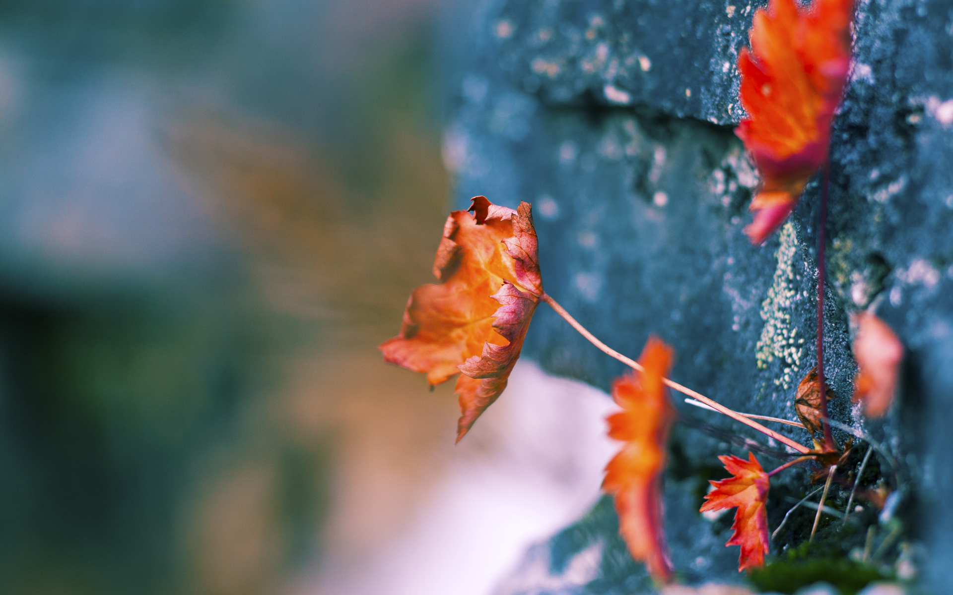 开云体育-终场哨响前，两个大洲的最后一击如何定义传奇