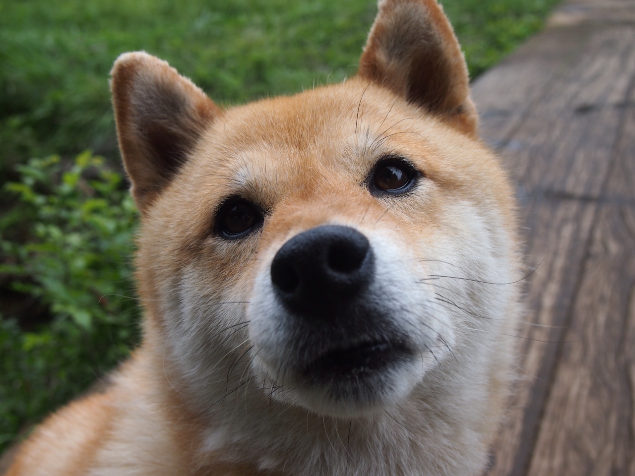 草芥王的逆袭，李刚仁化身安菲尔德收割者，贝蒂斯完成史诗级红色收割