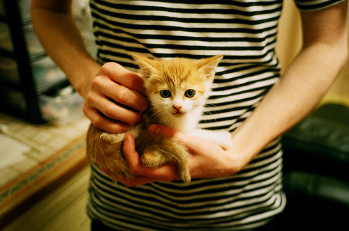 欧冠夜变奏曲,从背锅侠到指挥家,阿拉巴的救赎独幕剧