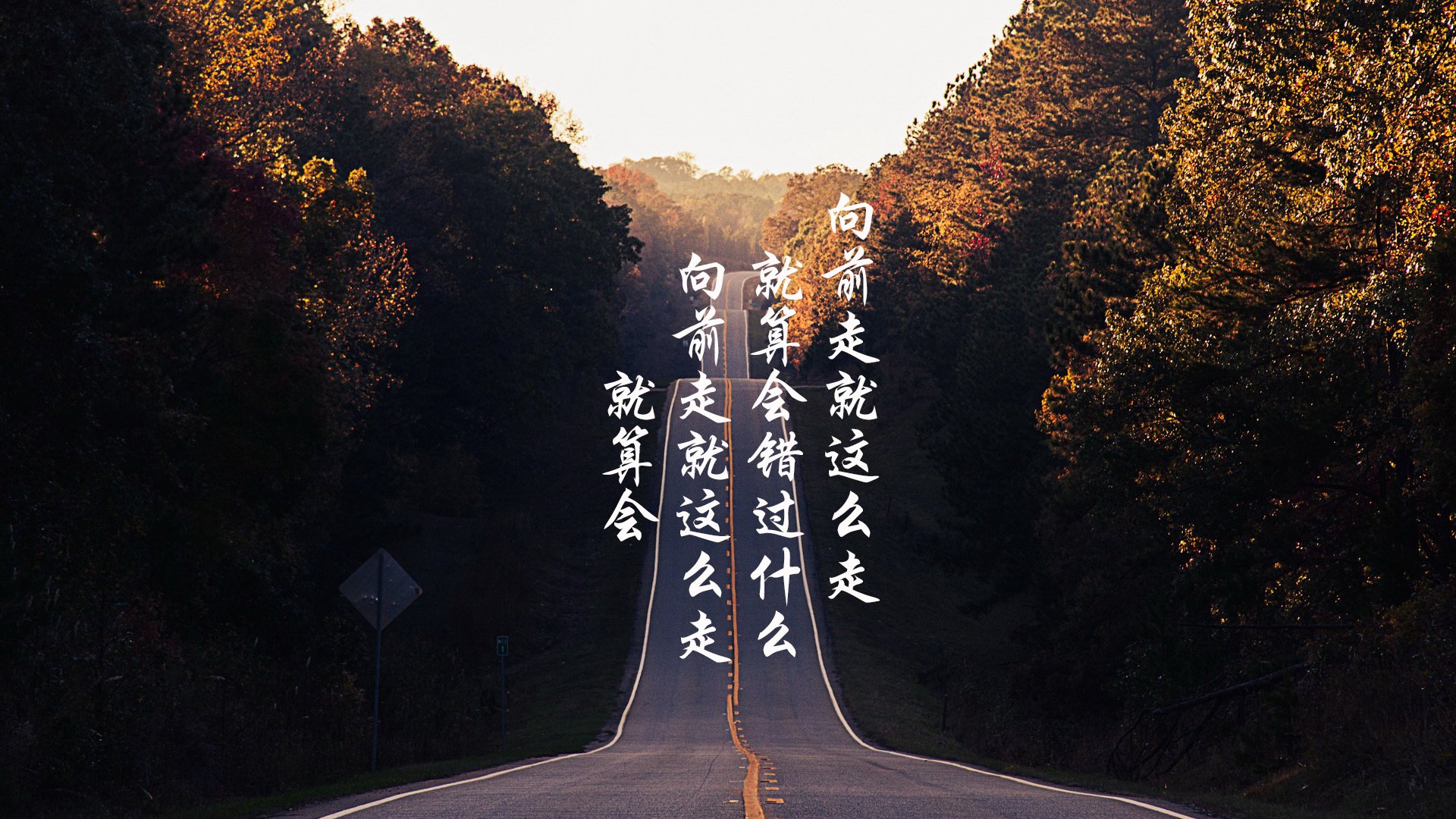 夜幕下的铁血琴弦,厄德高在德甲争冠战中的硬仗美学